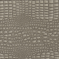 Snakeskin Cover (Gray)