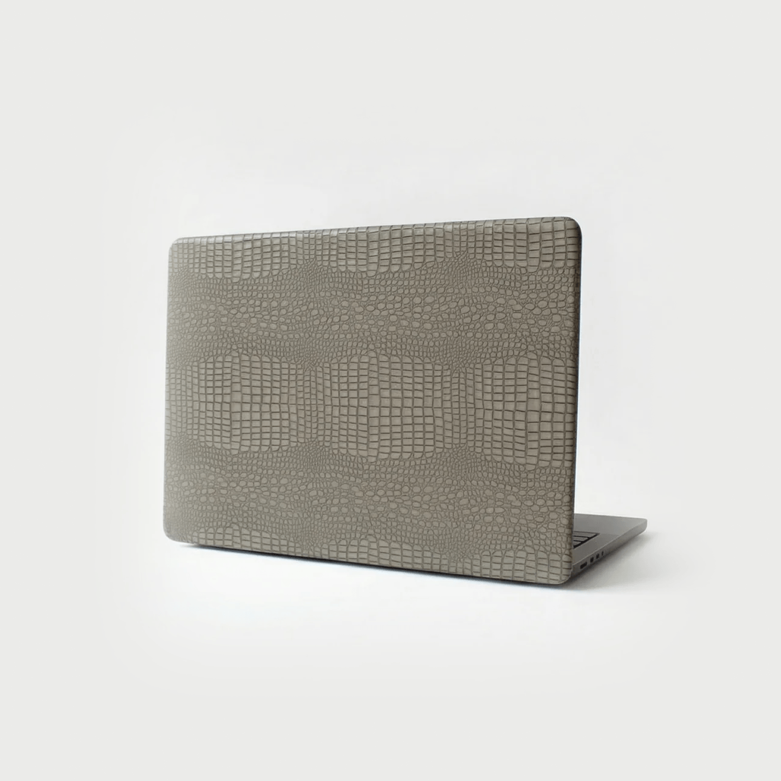 Snakeskin Cover (Gray)
